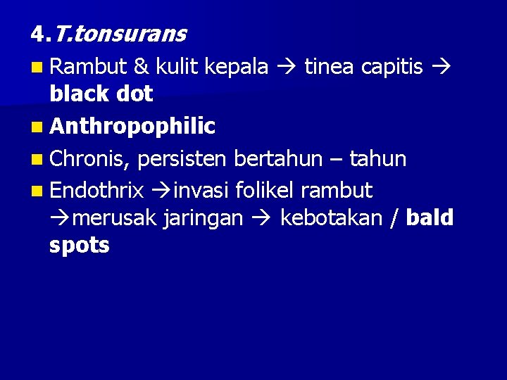 4. T. tonsurans n Rambut & kulit kepala tinea capitis black dot n Anthropophilic