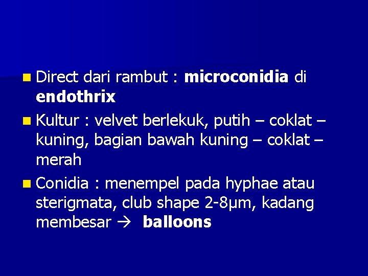 n Direct dari rambut : microconidia di endothrix n Kultur : velvet berlekuk, putih