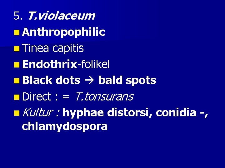 5. T. violaceum n Anthropophilic n Tinea capitis n Endothrix-folikel n Black dots bald