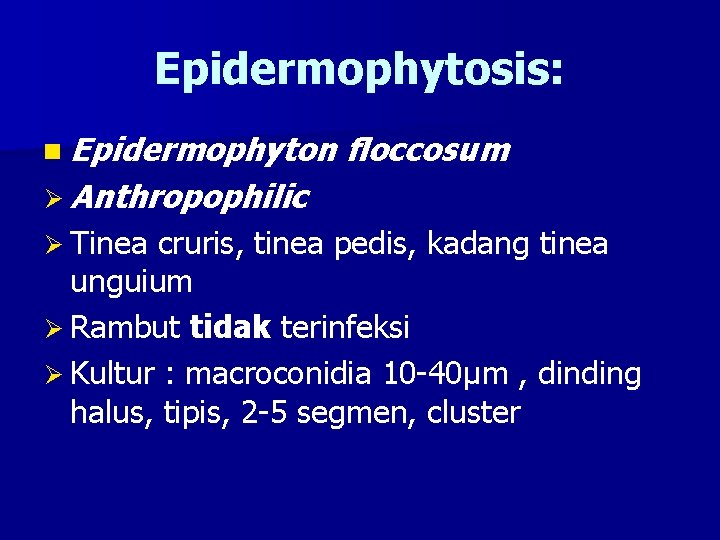 Epidermophytosis: n Epidermophyton floccosum Ø Anthropophilic Ø Tinea cruris, tinea pedis, kadang tinea unguium