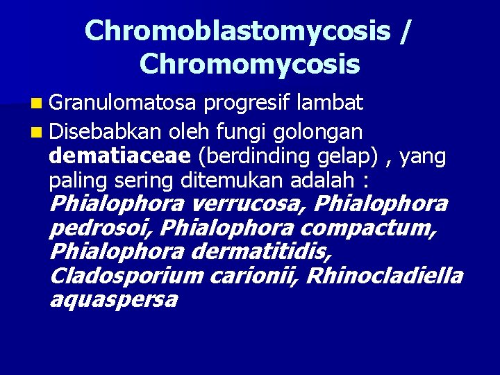 Chromoblastomycosis / Chromomycosis n Granulomatosa progresif lambat n Disebabkan oleh fungi golongan dematiaceae (berdinding