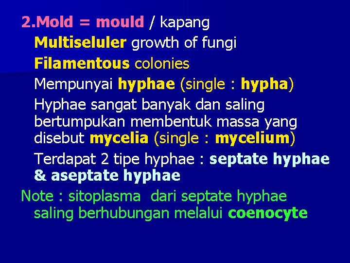 2. Mold = mould / kapang Multiseluler growth of fungi Filamentous colonies Mempunyai hyphae