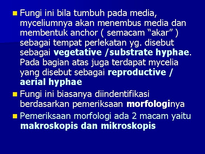 n Fungi ini bila tumbuh pada media, myceliumnya akan menembus media dan membentuk anchor