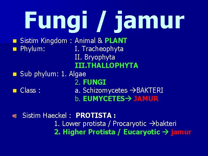 Fungi / jamur Sistim Kingdom : Animal & PLANT Phylum: I. Tracheophyta II. Bryophyta