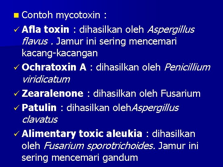 n Contoh mycotoxin : ü Afla toxin : dihasilkan oleh Aspergillus flavus. Jamur ini
