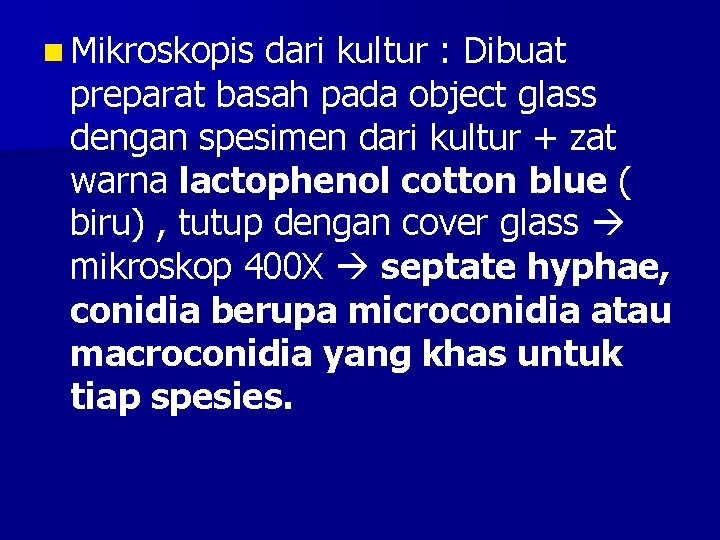 n Mikroskopis dari kultur : Dibuat preparat basah pada object glass dengan spesimen dari