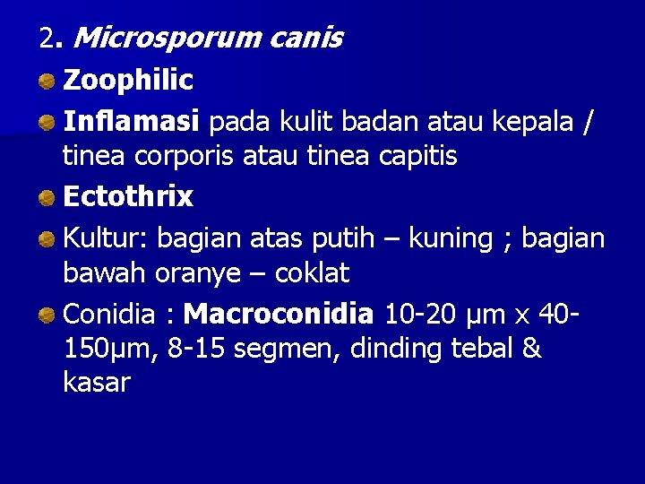 2. Microsporum canis Zoophilic Inflamasi pada kulit badan atau kepala / tinea corporis atau