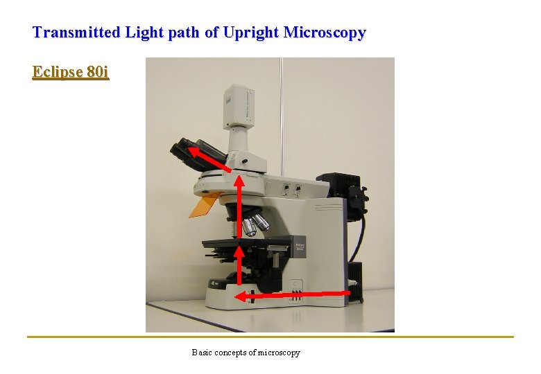 Transmitted Light path of Upright Microscopy Eclipse 80 i Basic concepts of microscopy 
