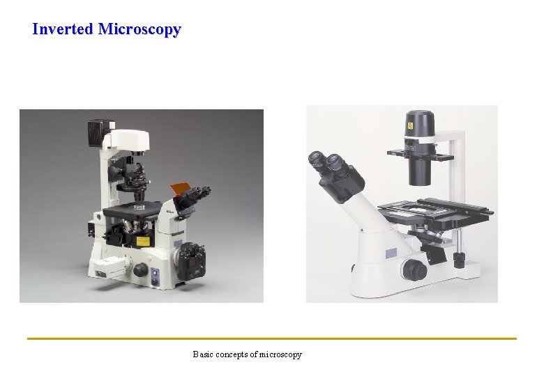 Inverted Microscopy Basic concepts of microscopy 