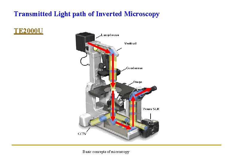 Transmitted Light path of Inverted Microscopy TE 2000 U Basic concepts of microscopy 