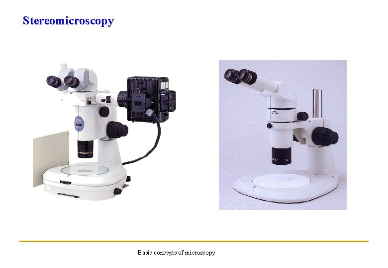 Stereomicroscopy Basic concepts of microscopy 