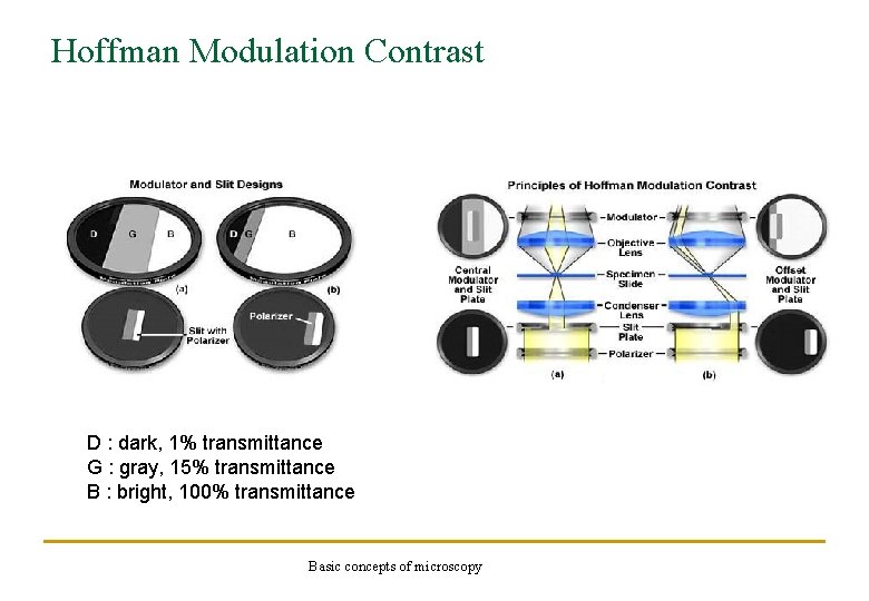 Hoffman Modulation Contrast D : dark, 1% transmittance G : gray, 15% transmittance B