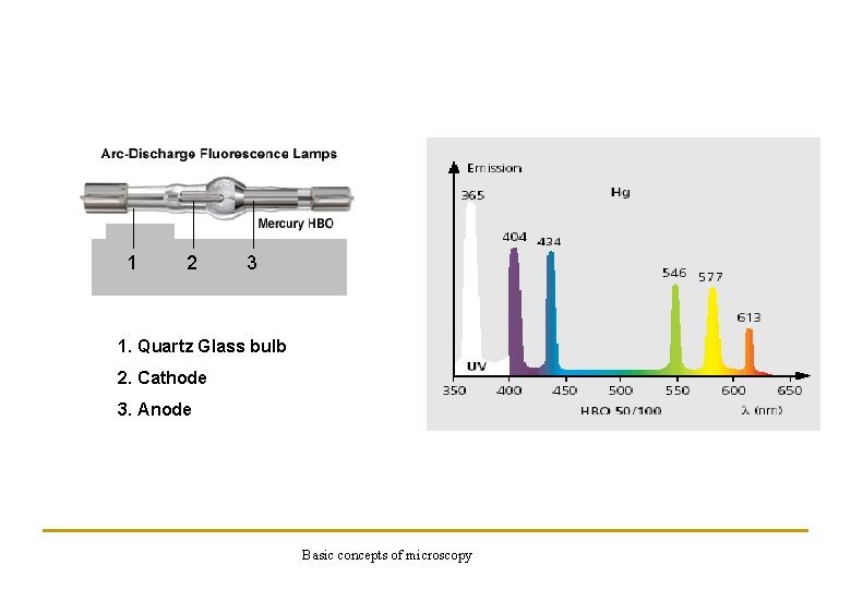 1 2 3 1. Quartz Glass bulb 2. Cathode 3. Anode Basic concepts of