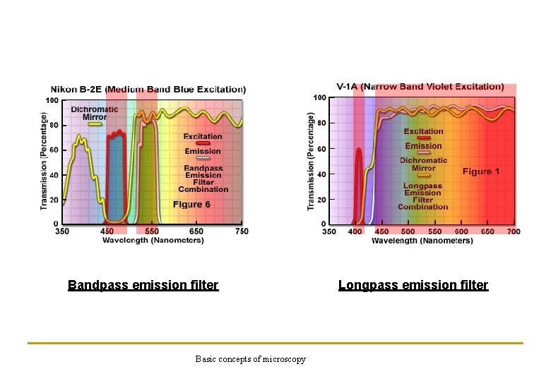 Bandpass emission filter Basic concepts of microscopy Longpass emission filter 
