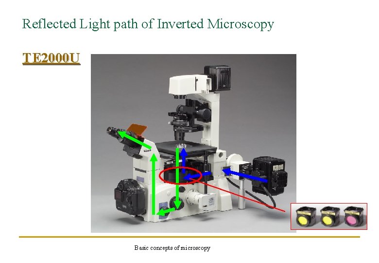 Reflected Light path of Inverted Microscopy TE 2000 U Basic concepts of microscopy 