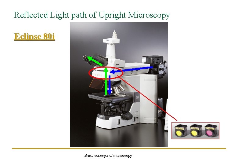 Reflected Light path of Upright Microscopy Eclipse 80 i Basic concepts of microscopy 