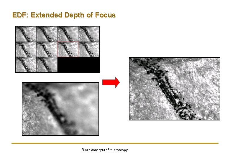 EDF: Extended Depth of Focus Basic concepts of microscopy 