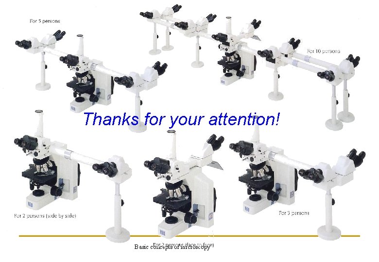 Thanks for your attention! Basic concepts of microscopy 