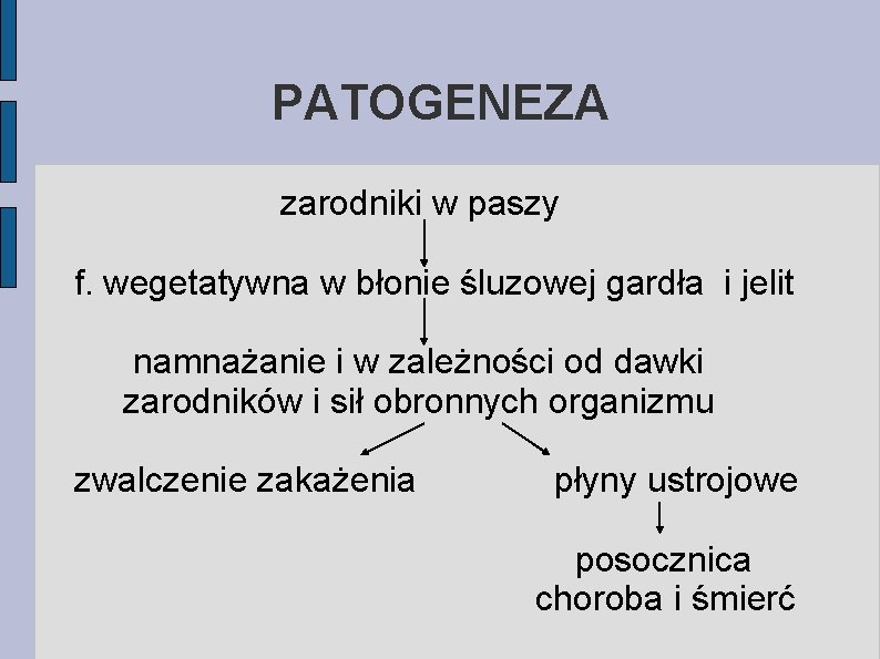 PATOGENEZA zarodniki w paszy f. wegetatywna w błonie śluzowej gardła i jelit namnażanie i