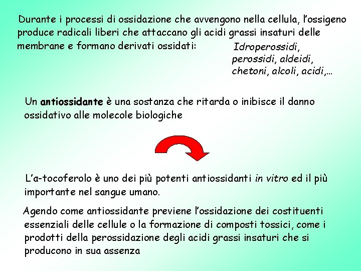 Durante i processi di ossidazione che avvengono nella cellula, l’ossigeno produce radicali liberi che