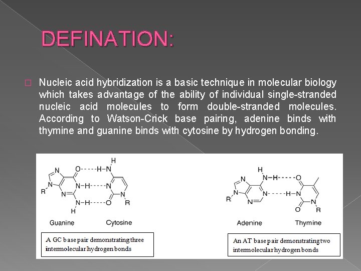 DEFINATION: � Nucleic acid hybridization is a basic technique in molecular biology which takes