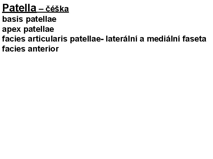 Patella – čéška basis patellae apex patellae facies articularis patellae- laterální a mediální faseta