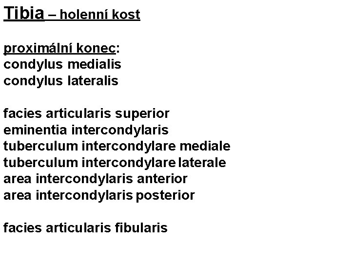 Tibia – holenní kost proximální konec: condylus medialis condylus lateralis facies articularis superior eminentia