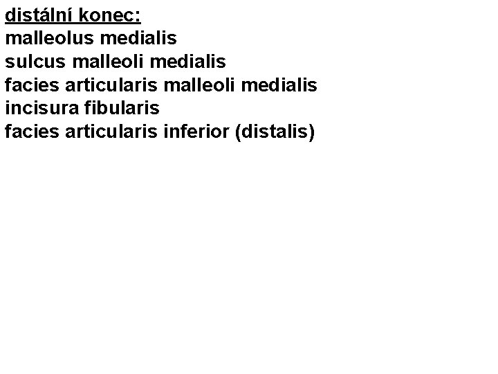 distální konec: malleolus medialis sulcus malleoli medialis facies articularis malleoli medialis incisura fibularis facies