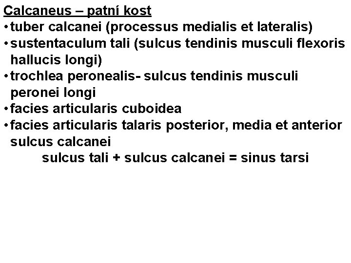Calcaneus – patní kost • tuber calcanei (processus medialis et lateralis) • sustentaculum tali
