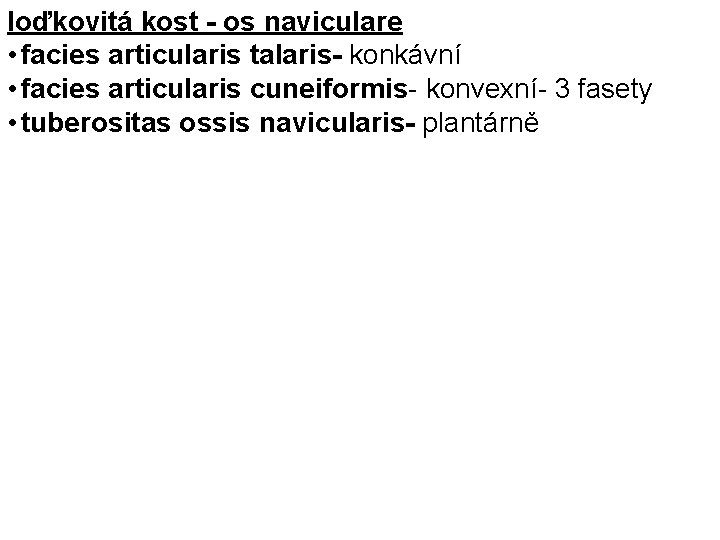 loďkovitá kost - os naviculare • facies articularis talaris- konkávní • facies articularis cuneiformis-