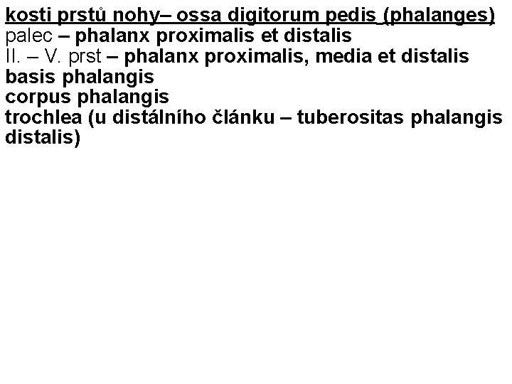 kosti prstů nohy– ossa digitorum pedis (phalanges) palec – phalanx proximalis et distalis II.
