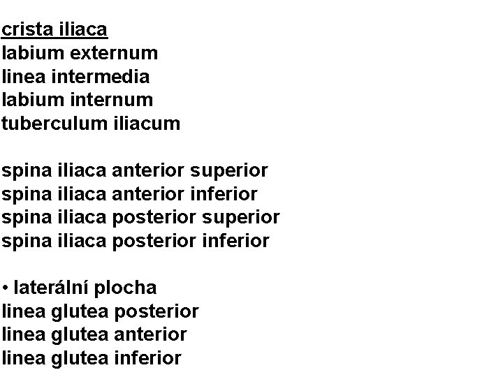 crista iliaca labium externum linea intermedia labium internum tuberculum iliacum spina iliaca anterior superior