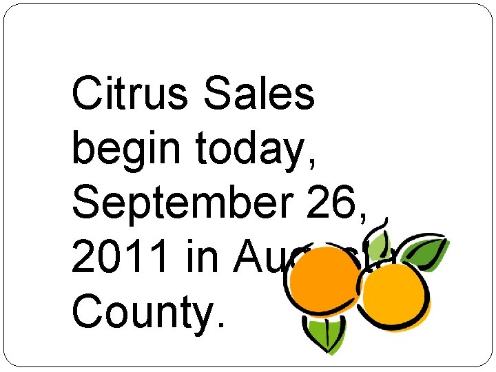 Citrus Sales begin today, September 26, 2011 in Augusta County. 