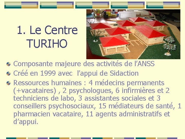 1. Le Centre TURIHO Composante majeure des activités de l’ANSS Créé en 1999 avec