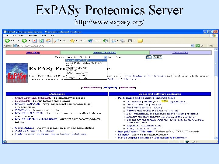Ex. PASy Proteomics Server http: //www. expasy. org/ 