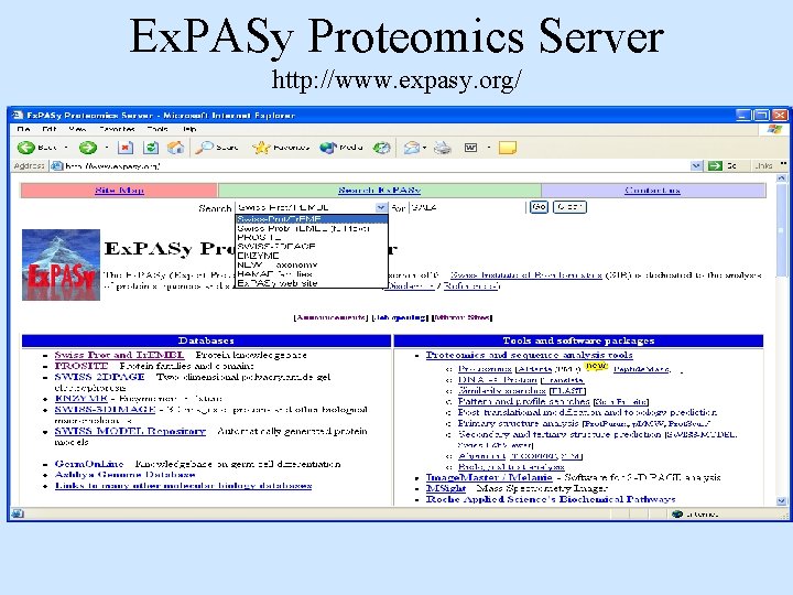 Ex. PASy Proteomics Server http: //www. expasy. org/ Ex. PASy Proteomics Server http: //www. expasy. org/