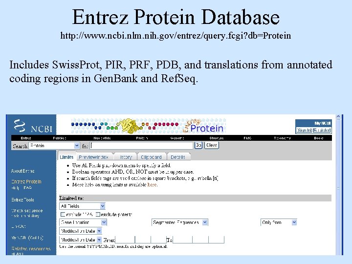 Entrez Protein Database http: //www. ncbi. nlm. nih. gov/entrez/query. fcgi? db=Protein Includes Swiss. Prot,