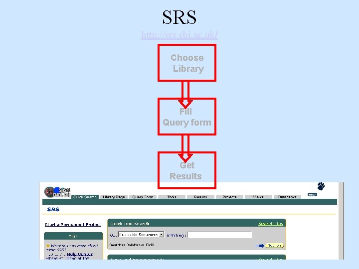 SRS http: //srs. ebi. ac. uk/ Choose Library Fill Query form Get Results 