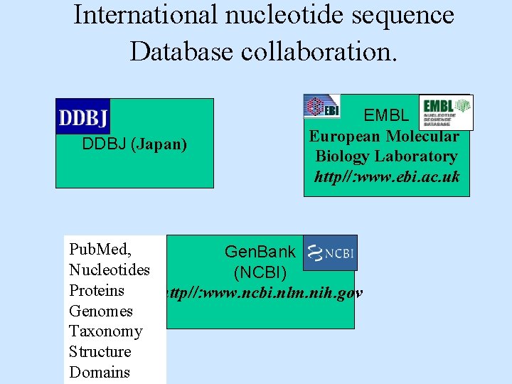 International nucleotide sequence Database collaboration. DDBJ (Japan) EMBL European Molecular Biology Laboratory http//: www.