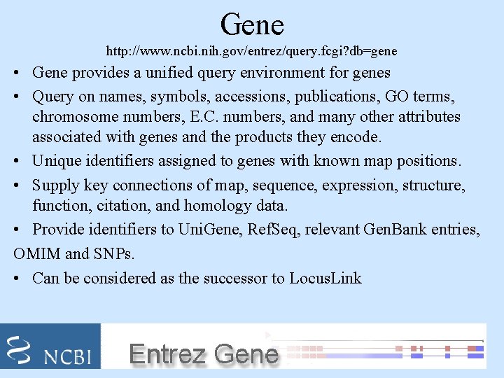 Gene http: //www. ncbi. nih. gov/entrez/query. fcgi? db=gene • Gene provides a unified query
