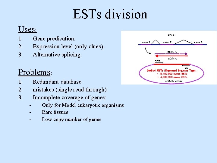 ESTs division Uses: 1. 2. 3. Gene predication. Expression level (only clues). Alternative splicing.