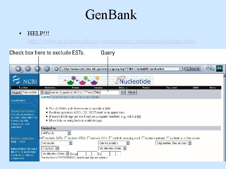 Gen. Bank • HELP!!! http: //www. ncbi. nlm. nih. gov/entrez/query/static/helpdoc. html Gen. Bank • HELP!!! http: //www. ncbi. nlm. nih. gov/entrez/query/static/helpdoc. html