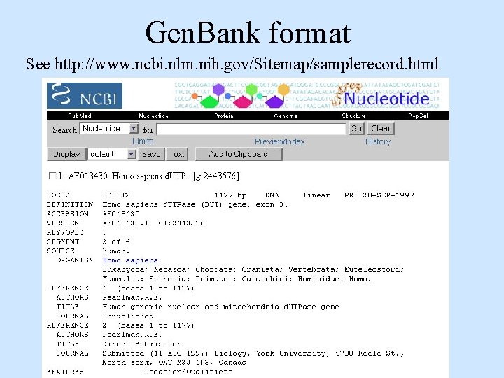 Gen. Bank format See http: //www. ncbi. nlm. nih. gov/Sitemap/samplerecord. html 