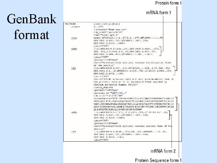 Gen. Bank format 