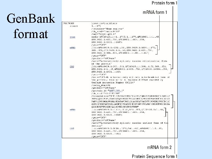 Gen. Bank format Gen. Bank format