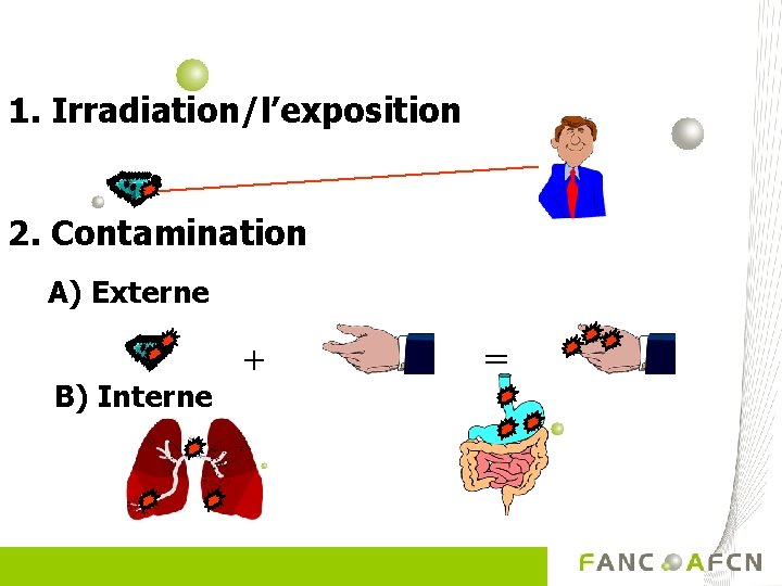 1. Irradiation/l’exposition 2. Contamination A) Externe B) Interne + = 