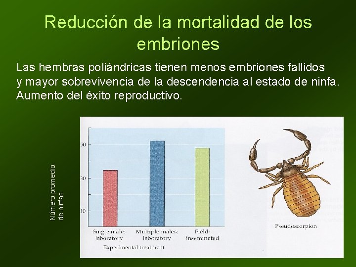 Reducción de la mortalidad de los embriones Número promedio de ninfas Las hembras poliándricas