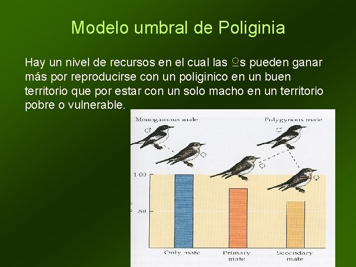 Modelo umbral de Poliginia Hay un nivel de recursos en el cual las ♀s