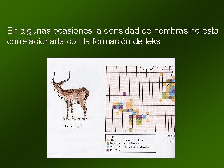 En algunas ocasiones la densidad de hembras no esta correlacionada con la formación de