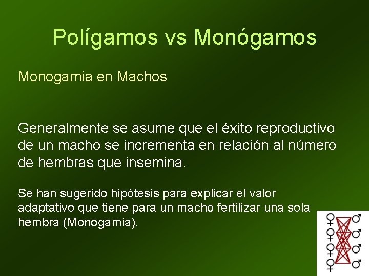 Polígamos vs Monógamos Monogamia en Machos Generalmente se asume que el éxito reproductivo de